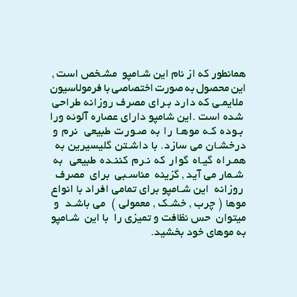 شامپو مو دکتر درما کد 01 حجم 500 میلی لیتر شامپو مو دکتر درما کد 01 حجم 500 میلی لیتر