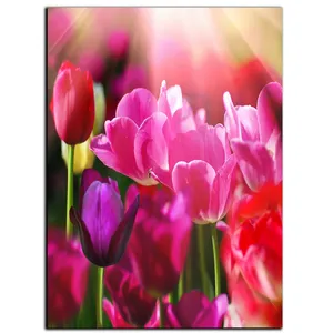 تابلو شاسی بکلیت طرح لاله زار مدل SH-S639