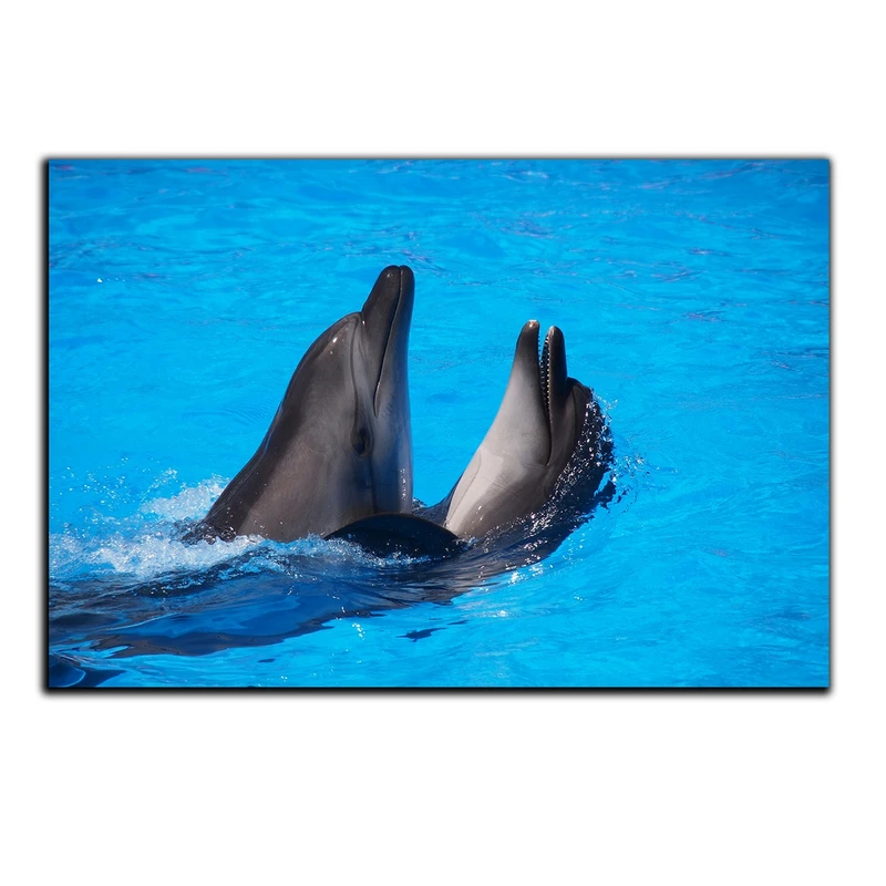 تابلو شاسی بکلیت طرح آبزیان دلفین مدل SH-S514