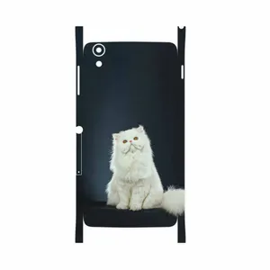 MAHOOT Persian cat-FullSkin Cover Sticker for BlackBerry DTEK 50