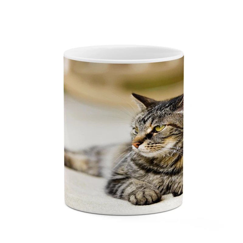 ماگ کاکتی مدل گربه کد mgh17356