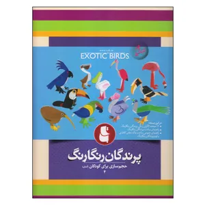بازی آموزشی مدل پرندگان رنگارنگ