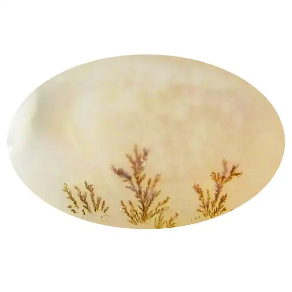 سنگ شجر پارلا گوهر کد 5081