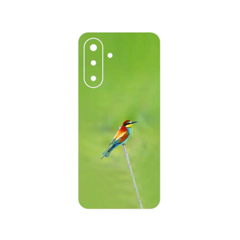 برچسب پوششی ماهوت مدل European bee-eater مناسب برای گوشی موبایل سامسونگ Galaxy A17 4G