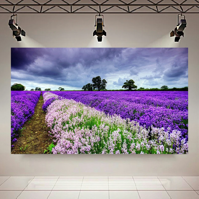 تابلو بوم طرح مخمل طبیعت مدل باغ گل های اسطوخودوس کد PD130499