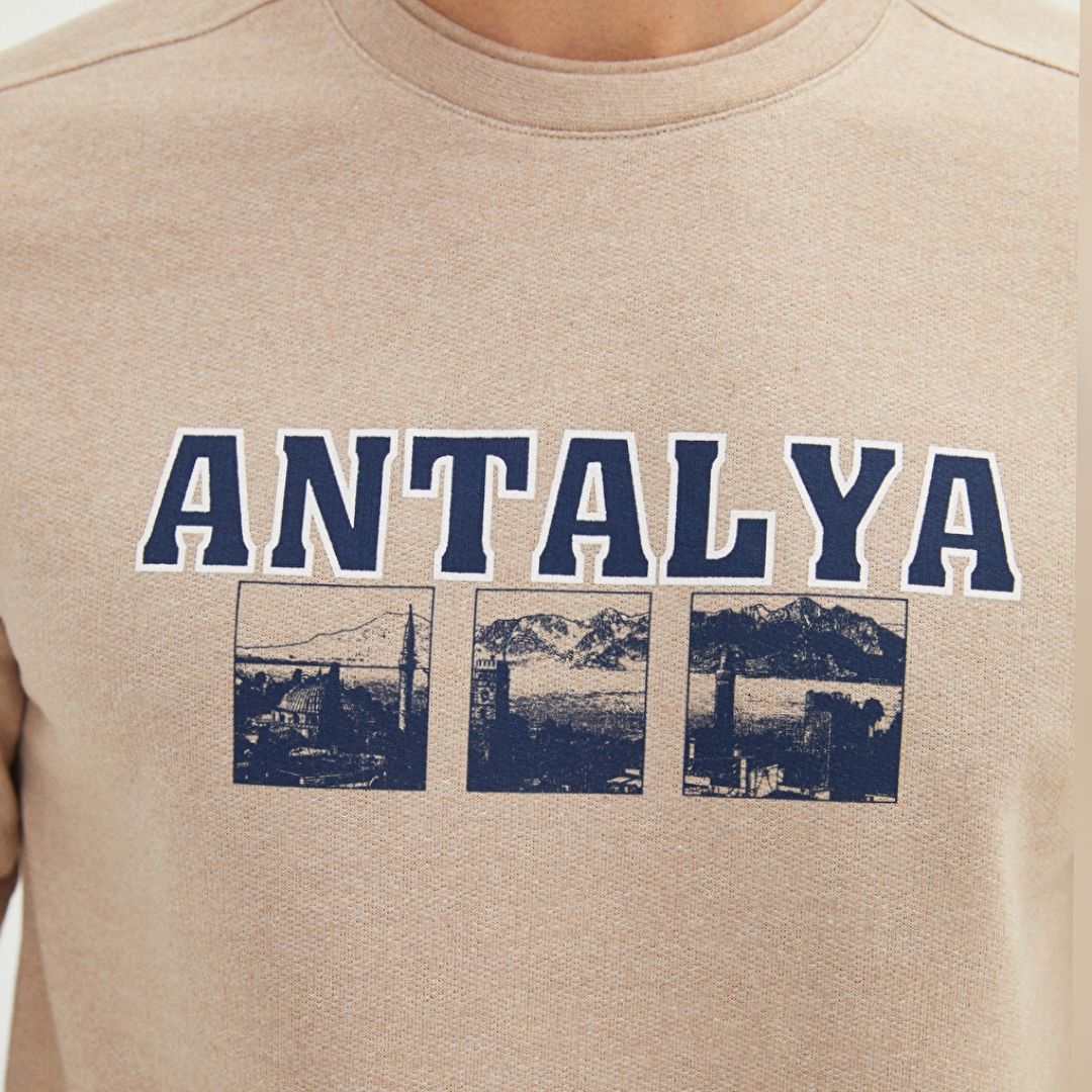 سویشرت مردانه ال سی وایکیکی مدل آنتی باکتریال کد Antalya -  - 4