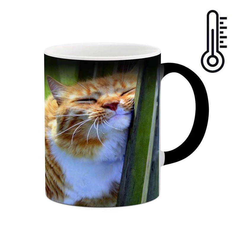 ماگ حرارتی کاکتی مدل گربه کد mgh16151