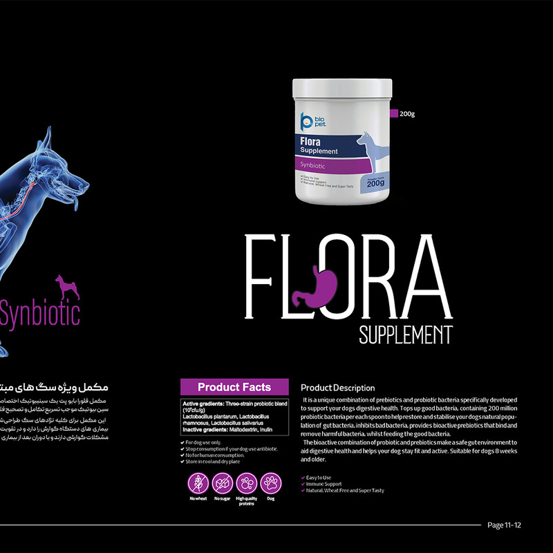 پودر پروبیوتیک و پری‌بیوتیک سگ بایو پت مدل Flora وزن 400 گرم