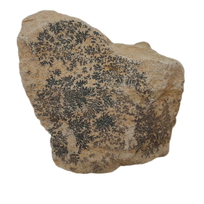 سنگ راف شجر مدل شجر فسیلی کد 136