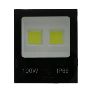 پرژکتور 100 وات زرین سیمای البرز کد IP66_EC