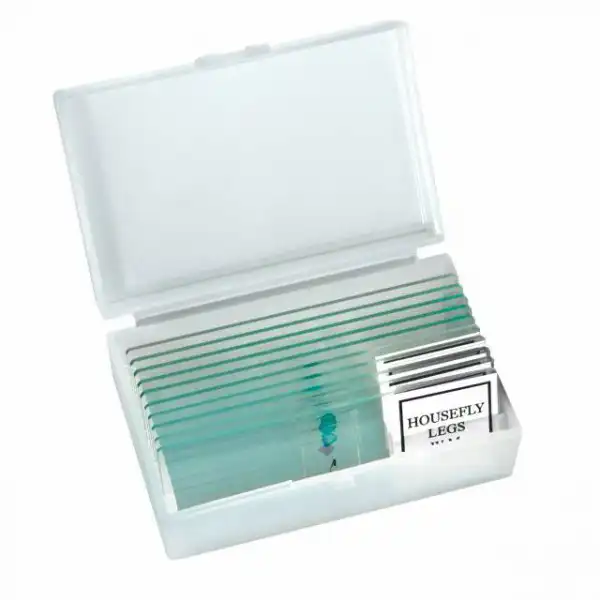 میکروسکوپ برسر مدل زیستی برسر x400