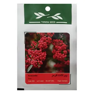 بذر بنسای پیراکانتا قرمز وانیا سید مدل N64