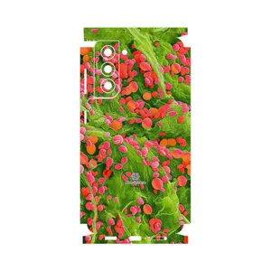 MAHOOT Atom Universe 3-FullSkin Cover Sticker for Samsung Galaxy S21 5G