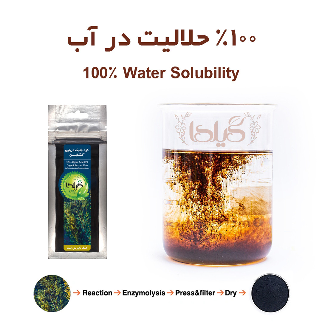کود جلبک دریایی گیلدا مدل Seaweed وزن 25 گرم کود جلبک دریایی گیلدا مدل Seaweed وزن 25 گرم