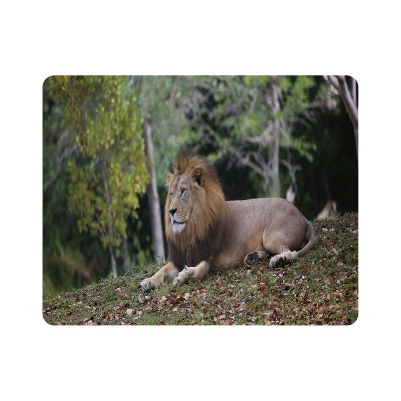 ماوس پد اطلس آبی طرح شیر مدل T7808