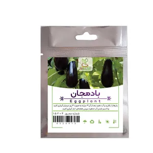 بذر بادمجان نیکوبذر کد 8156