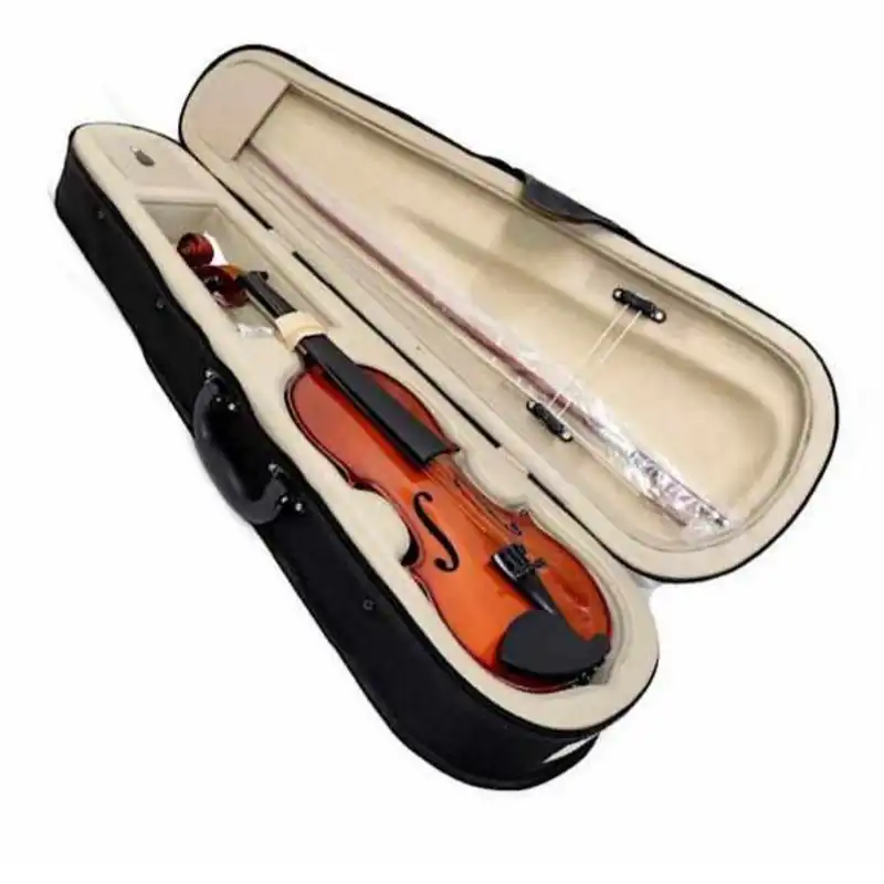 ویولن مدل آماتی 100