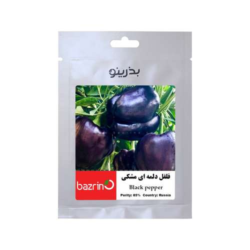 بذر فلفل دلمه ای مشکی بذرینو کد BZNO-244 