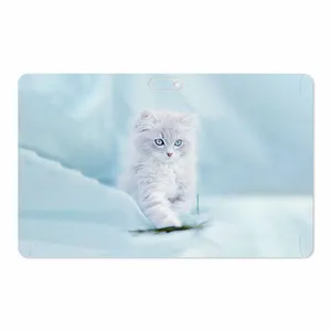 MAHOOT Cat-1 Cover Sticker for GLX W11 Plus