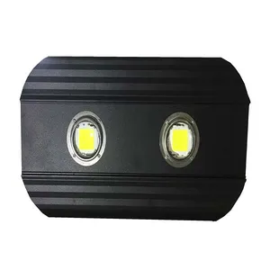 پروژكتور ١٠٠ وات مبتكر صنعت آرال خاوران مدل pl100