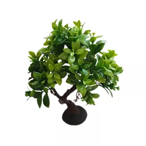 گیاه تزیینی آکواریوم مدل درختچه  بونسای pol