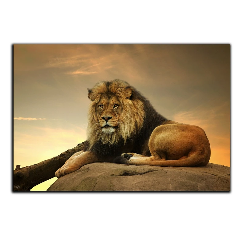 تابلو شاسی بکلیت طرح حیات وحش شیر نر مدل SH-S1660