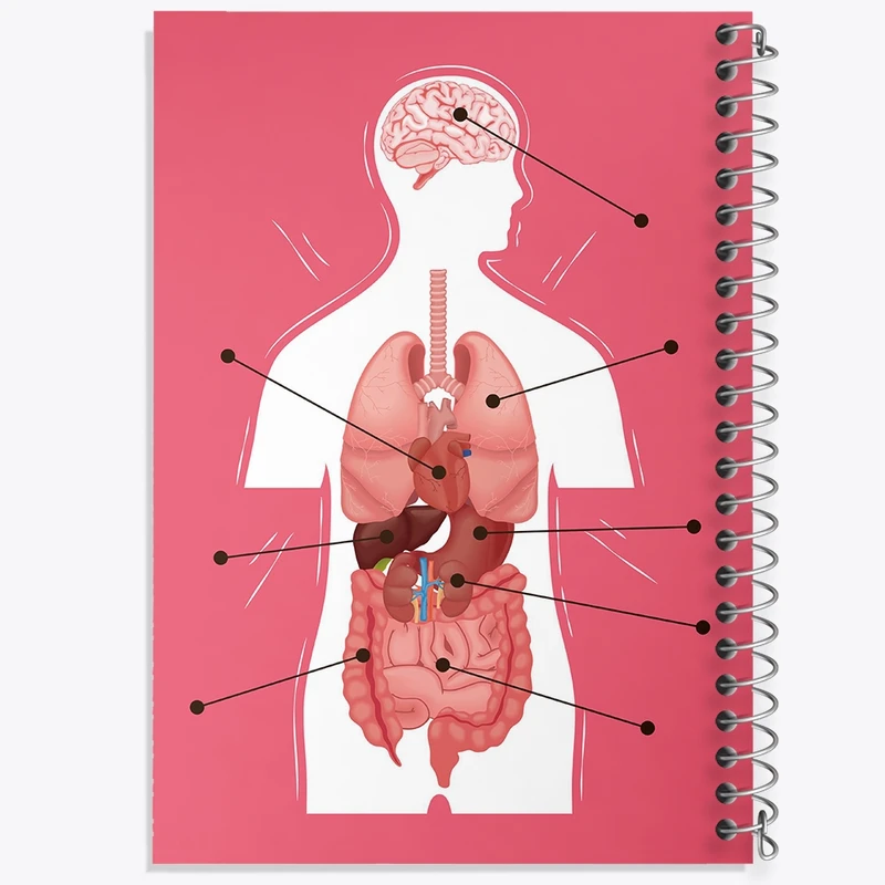 دفتر نت موسیقی 50 برگ خندالو مدل ماکت بدن انسان کد F1703