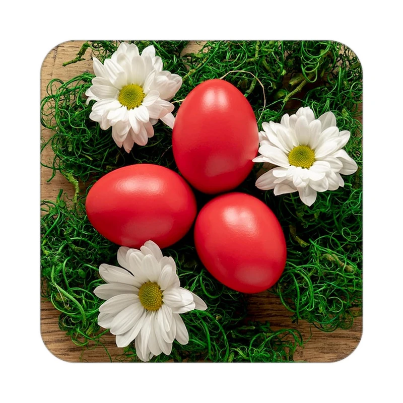 زیر لیوانی کاکتی طرح گل مدل mp16711