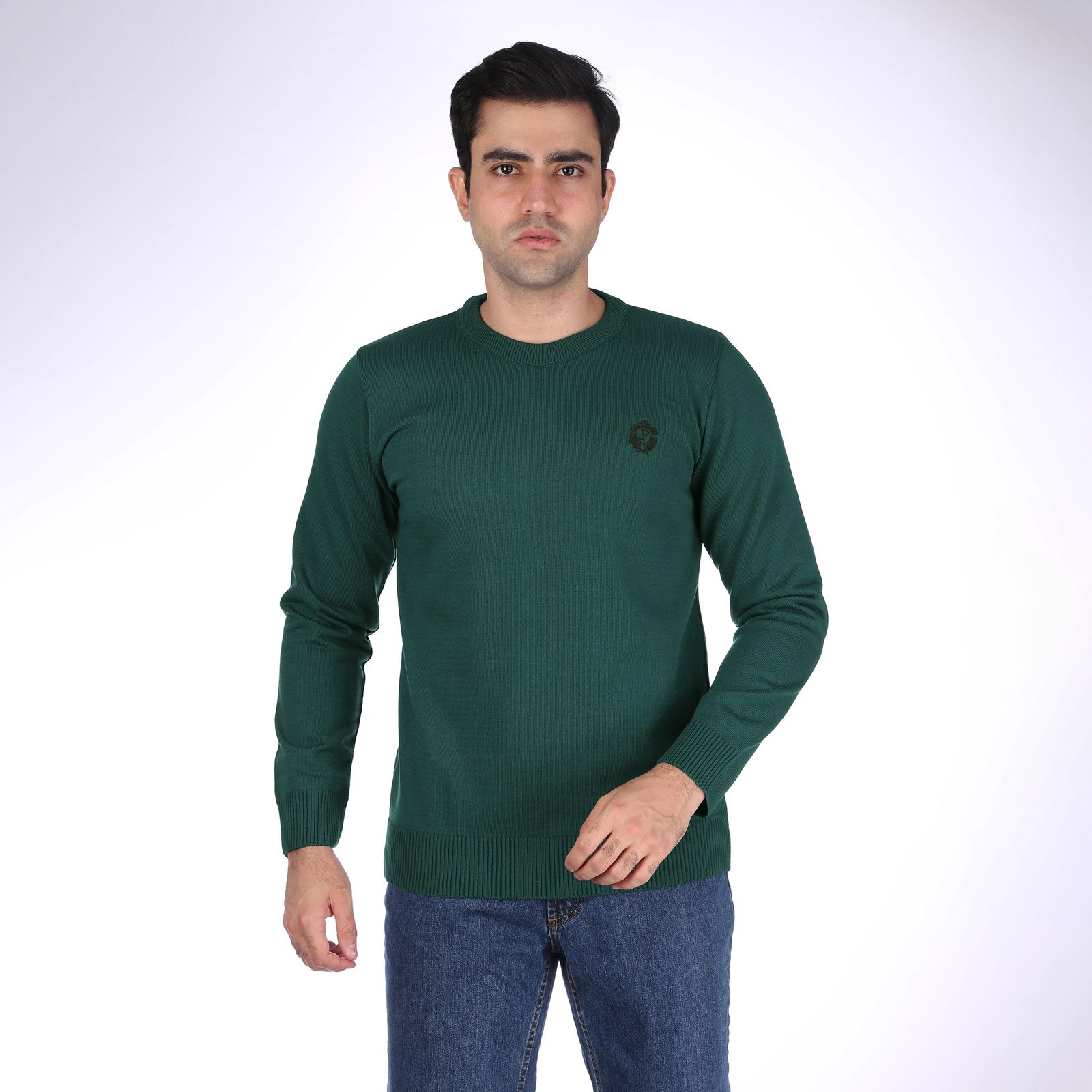پلیور مردانه تریکو پاییزان مدل PR700 رنگ سبز -  - 2