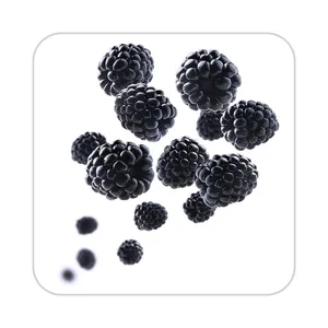 زیر لیوانی کاکتی طرح میوه مدل mp21943