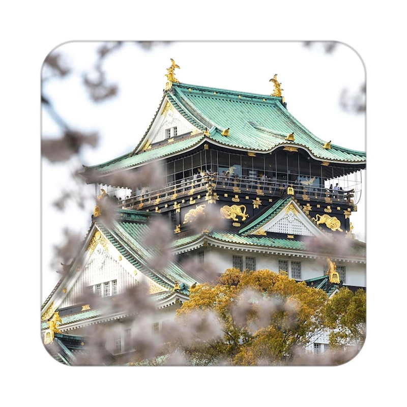 زیر لیوانی کاکتی طرح گل مدل mp18007