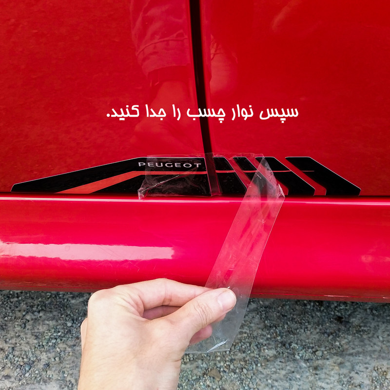 محافظ درب خودرو آرسی زد اسپرت مدل BKRD206207SM مناسب برای پژو 207