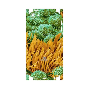 MAHOOT Atom Universe 6-FullSkin Cover Sticker for Apple iPod touch 6th generation