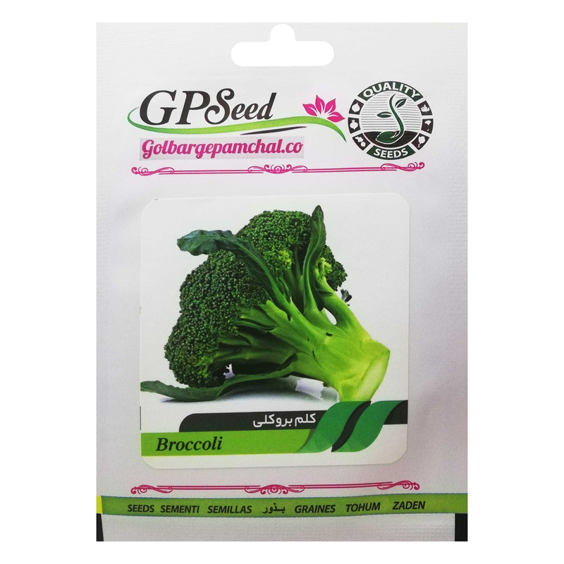 بذر کلم بروکلی گلبرگ پامچال کد GPF-164