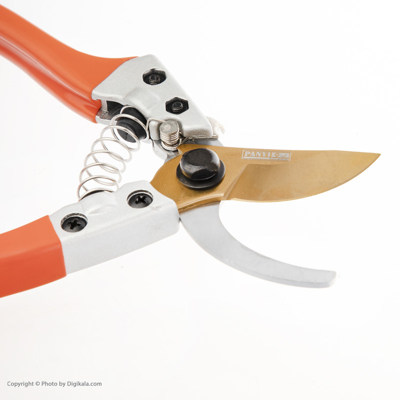 قیچی باغبانی پانی مدل NO2 قیچی باغبانی پانی مدل NO2