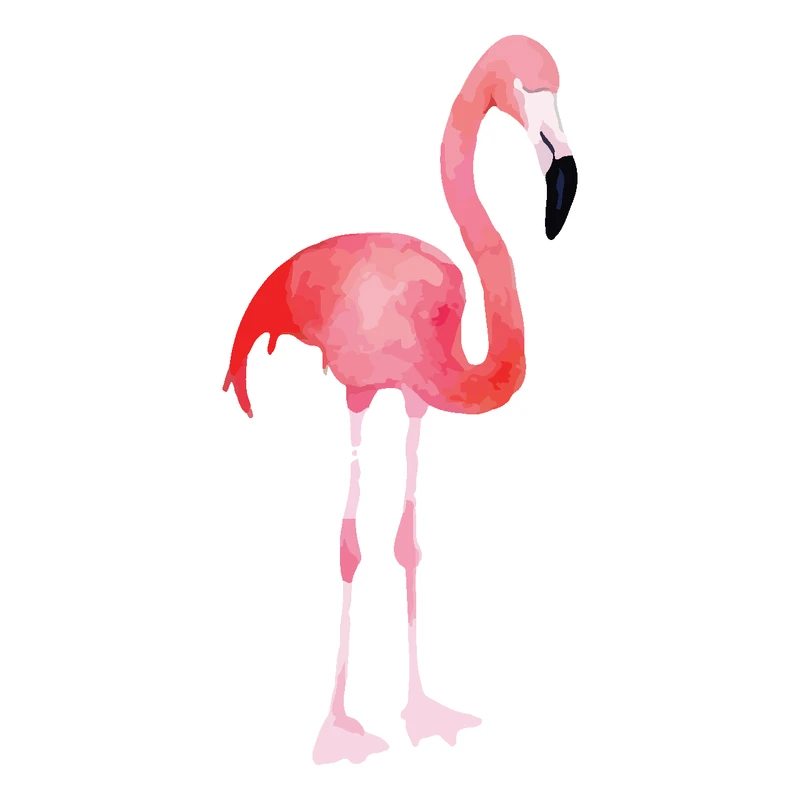 برچسب لپ تاپ پویا مارکت طرح فلامینگو کد PK110