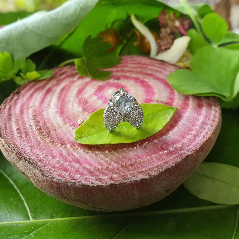 پیرسینگ گوش زنانه پایتخت مدل PS289 پیرسینگ گوش زنانه پایتخت مدل PS289