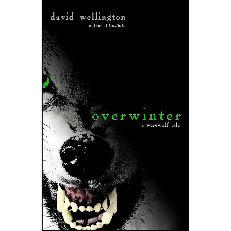 کتاب Overwinter اثر David Wellington انتشارات Broadway Books