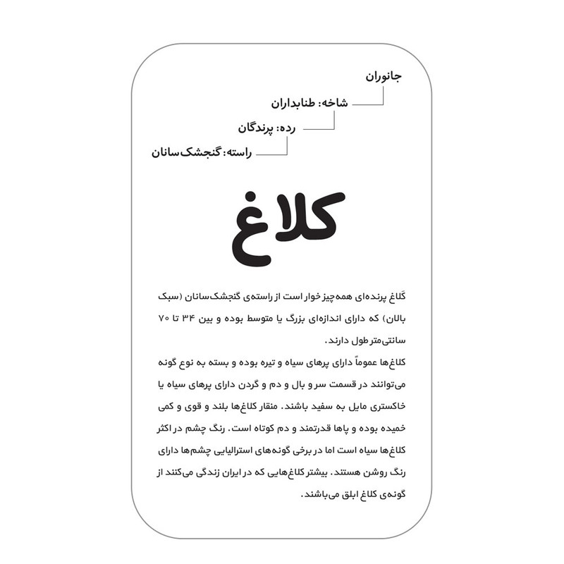 فلش کارت آشنایی با پرندگان انتشارات اندیشه کهن