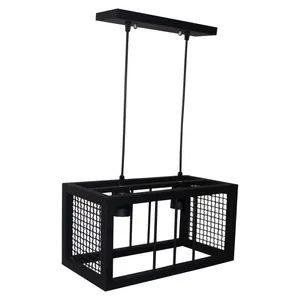 لوستر آویز دو شعله مدل Jail کد 205