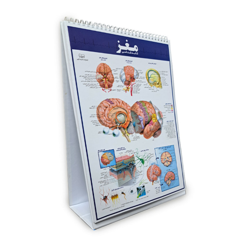 کتاب اطلس کالبدشناسی(آناتومی) بدن انسان اثر حمیدرضا بیات انتشارات اندیشه کهن