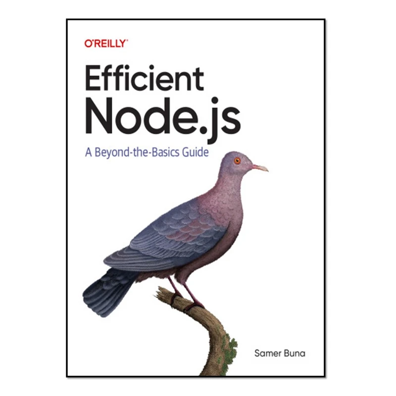 کتاب Efficient Node.js: A Beyond-the-Basics Guide اثر Samer Buna انتشارات آوای مؤلف