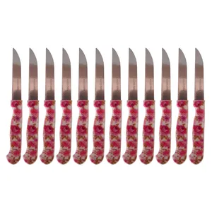 چاقو میوه خوری مدل M&M کد 03 بسته 12 عددی