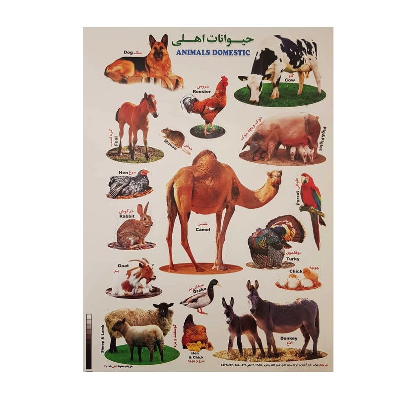 برچسب مدل حیوانات اهلی کد BA6 