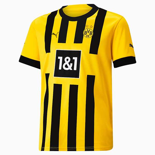 تی شرت ورزشی مردانه مدل دورتمند 23-2022