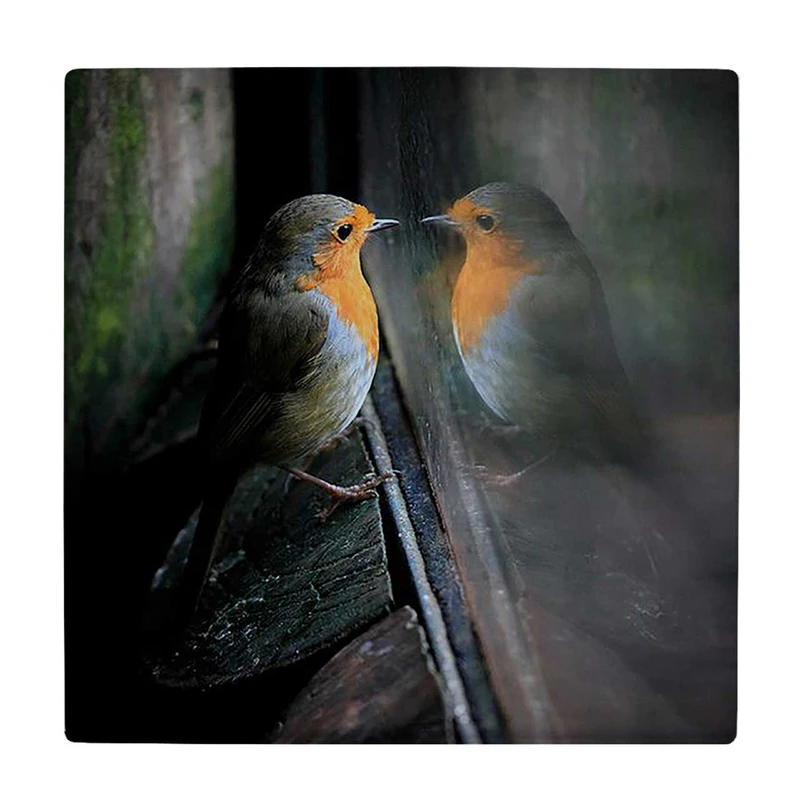  زیر لیوانی  طرح پرنده پشت پنجره کد    5862953_4394