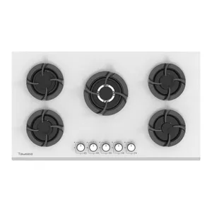 اجاق گاز صفحه ای تایسز مدل HG-1909