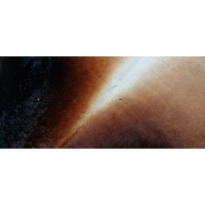 فرش پوست مدل هرفورد فرش پوست مدل هرفورد