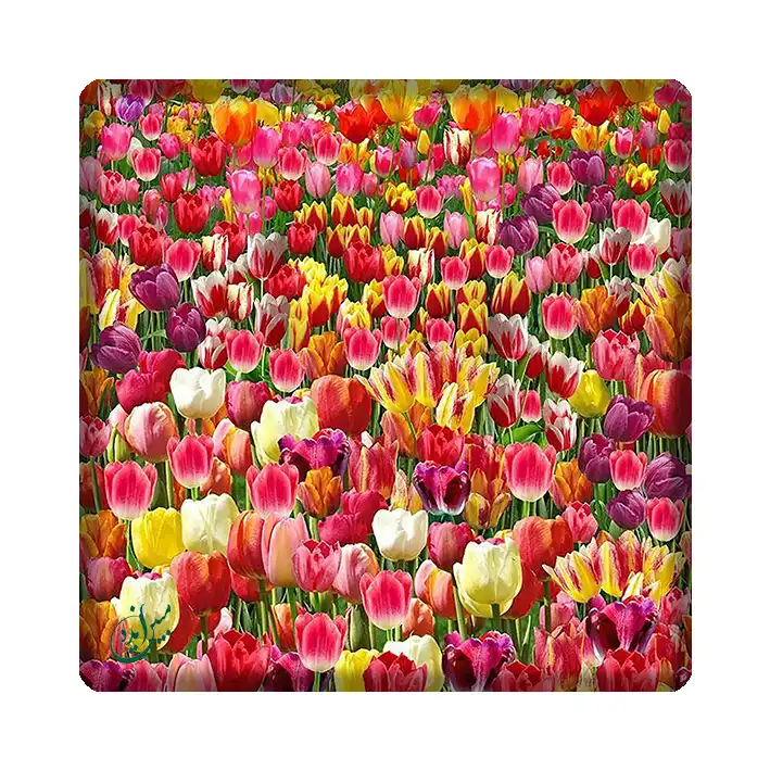 کاشی مبین ایده مدل گل kh10 کد 543