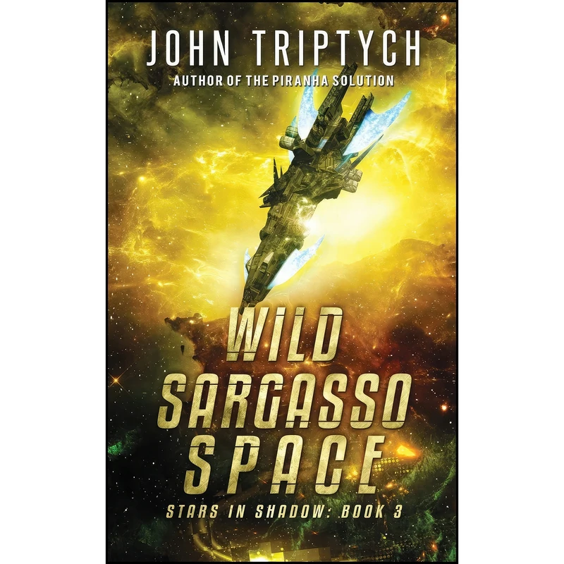 کتاب Wild Sargasso Space  اثر John Triptych انتشارات تازه ها